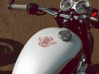 Triumph Bonneville T100 Bud Ekins Edition